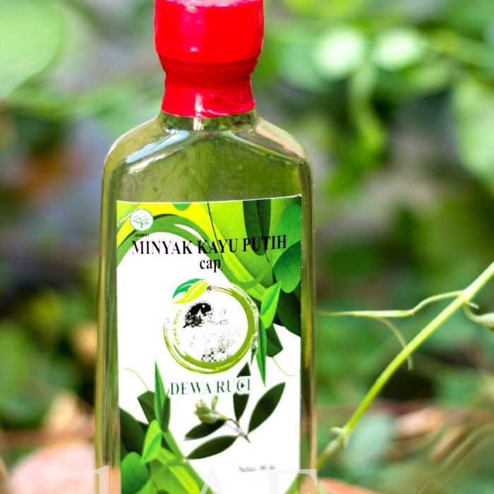 minyak kayu putih PERHUTANI "DEWA RUCI' 60 ml
